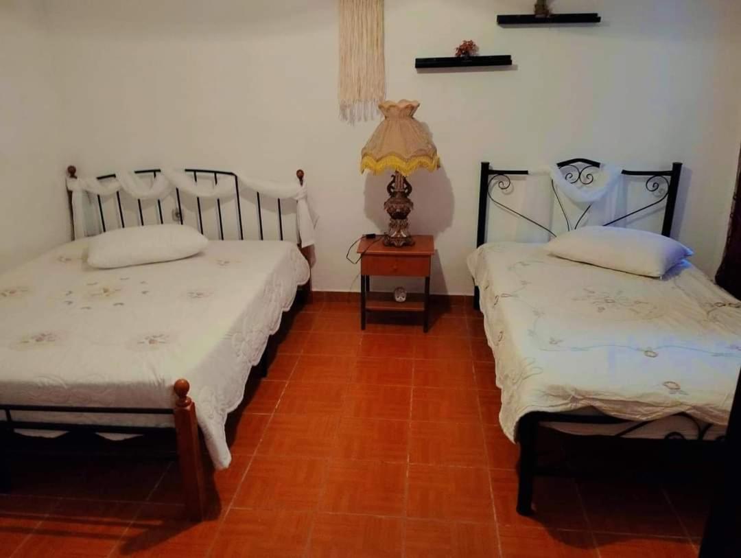 Villa Konstantina Nea Skioni Exteriér fotografie